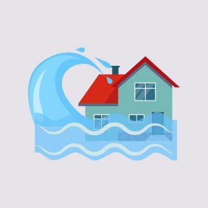 water damage Fort Collins
